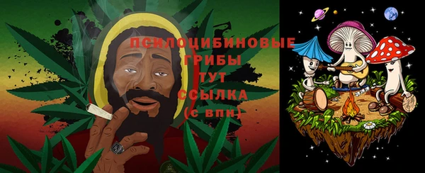дживик Куйбышев