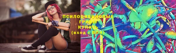 метадон Ладушкин