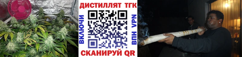 ТГК THC oil  где купить   Кукмор 